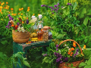 Greenscape Creation
